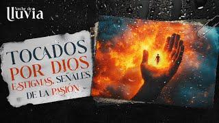 Tocados por Dios. Estigmas: El Misterio de las Heridas de la Pasión de Cristo que Impactan al Mundo