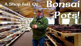 A Shop Full of Bonsai Pots! - Greenwood Bonsai