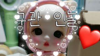 봄찌/ 3체 인놀 /구관/ 인놀