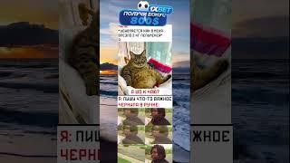 #memes #мем