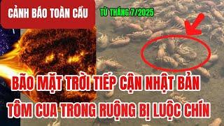 Bão mặt trời tiếp cận Nhật Bản - Hàng Loạt tôm cua trong ruộng bị luộc chín - Người Việt nên làm gì?