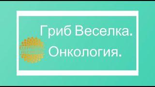 Кудря Олег Гриб Веселка. Королева лечебных грибов. Применение для восстановления здоровья Онкология.