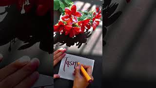 Tasnim name request 