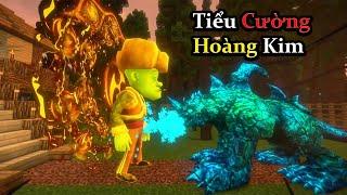 Có Tiểu Cường Hoàng Kim - Gã Đầu Trọc Là Bất Khả Chiến Bại 