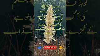 Islamic vision