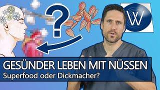 Wie gesund sind Nüsse: Hype oder Hope? So können Sie Ihren Bedarf an Omega 3 & Ballaststoffen decken