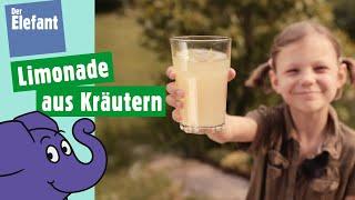 Kräuterlimonade selber machen | Der Elefant | WDR