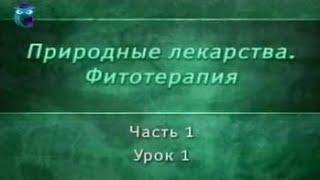 Фитотерапия. Урок 1.1. Основные принципы фитотерапии. Развитие фитотерапии в России