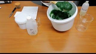 How to Make Pine Gel for Business with 4 Ingredients only: Full Manufacturing Process