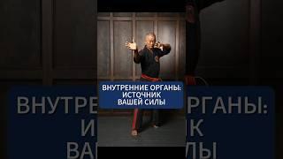 Внутренние органы: Источник вашей силы