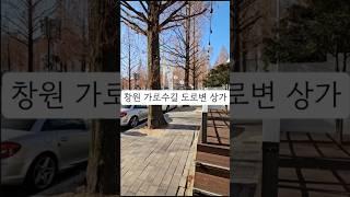 창원시 성산구 용호동 가로수길 카페 식당임대 가로수길 상가임대 권리금없는 상가