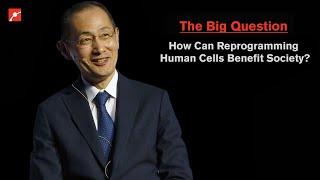 Can Stem Cells Extend Life? Nobel Laureate Shinya Yamanaka Explains