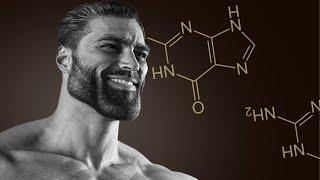 5 Proven Ways to Increase Testosterone