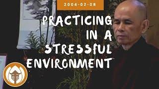 Practicing in a Stressful Environment | Dharma Talk by Thich Nhat Hanh, 2004.02.08