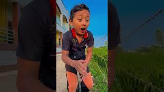 Akele Hum Akele Tum  #shorts #ytshorts #love #viralvideo #papa