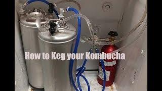 Kombucha Kegging