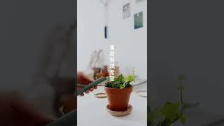 【心森治療室】重拾希望，走出灰色時刻