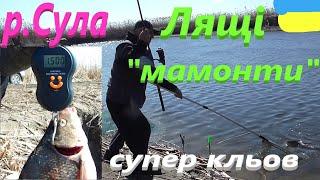 #Сула # РИБА ПІШЛА #РибачуЯкУмію