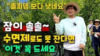 잠이 솔솔~ 수면제로도 못 잔다면 '이것' 꼭 드세요