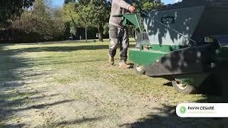 Sabbiatura: Manutenzione del Verde | Giardini Pavin Cesare