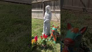 Staying blessed! #flowers #micasa #parati #catholic #backyard #outside #shorts