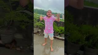 Pitale kamar #trending ##dance #shorts #viral #trending #youtubeshorts dance