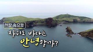 현장 속으로 '차귀도 바다는 안녕할까?' [KBS 제주]