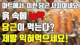 당근의 모든것!! 흙 속에 농약을 다 먹는다? 고르는법, 보관법, 종류, 세척법까지!!