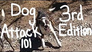 DOG ATTACK 101 for Cyclists: 3rd Edition w/Aaron Smith/Gainesville, TX/Cooke County, Texas/Amputee