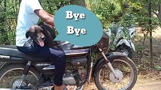 Rocky Enjoying Bike Ride  || Pranav Choudhari Vlogs