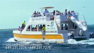 Welcome to Caicos Dream Tours