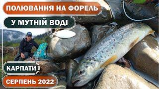 ПОЛЮВАННЯ на ФОРЕЛЬ в КАРПАТАХ по МУТНІЙ воді! РИБОЛОВЛЯ в КАРПАТАХ на дику ФОРЕЛЬ на дикій річці