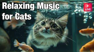 [LIVE] Cat Music for Relaxation Calming Music for Cats  Separation Anxiety Music for Cats Relax