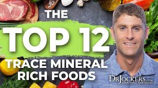 The Top 12 Trace Mineral Rich Foods