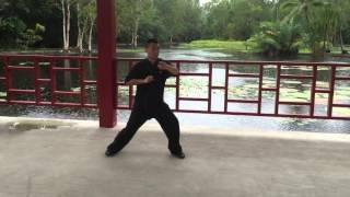 Chen Style Tai Chi Traditional Movement Set 2