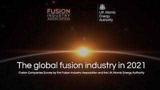 The Global Fusion Industry in 2021