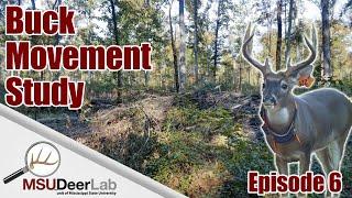 BUCK MOVEMENT STUDY - EPISODE 6: APPLYING RESEARCH TO HUNTING STRATEGY