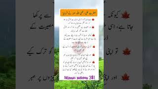 Mola Ali ka farman Mubarikh #poetry #shorts #urdu #urduquotes #trending #islamicquotes