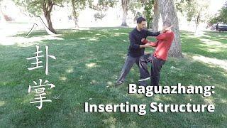 Baguazhang Inserting Structure 八卦掌