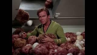 Trouble mit den Tribbles