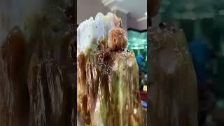 缅甸树化玉，#树化玉 #木化石 #硅化木 #玉石 #远古树木 #化石   #宝石 #地质奇观 #珍贵藏品 #自然瑰宝 #纹理独特 #色彩丰富 #观赏价值  #收藏价值