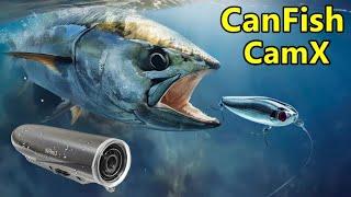 CAMERA SUBACVATICA DE ACTIUNE CANFISH FISHING CAMX REVIEW & UNPACKING