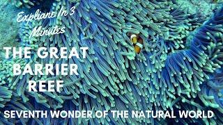 The Great Barrier Reef of Australia Breathtaking Facts Explained in 3 Minutes