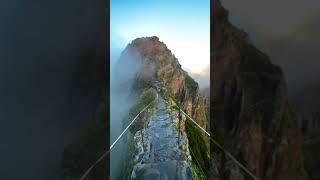 Jon Miksis - The magical island of Madeira  Have you been? #shorts