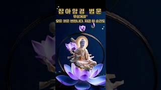 🪷《잡아함경》-"지나간 것도, 오지 않은 것도 모두 무상하니…"#잡아함경 #무상게경 #무상 #부처님말씀 #마음공부 #유튜브쇼츠