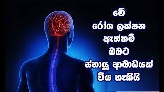 මේ රෝග ලක්ෂන ඇත්නම් ඔබට ස්නායූ ආබාධයක් විය හැකියි Nervous system problems symptoms Sinhala