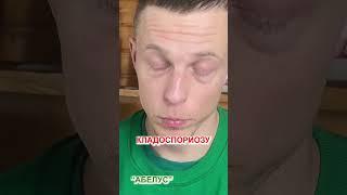 САМЫЕ УРОЖАЙНЫЕ ТОМАТЫ