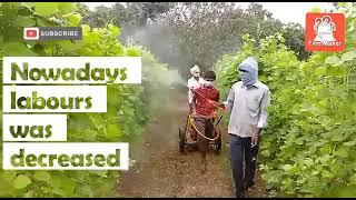 Applying of fertilizers by different ways to reduce labours usage