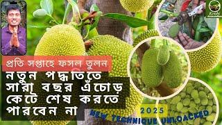 নতুন পদ্ধতি অবলম্বন করে সারাবছর এঁচোড় কেটে শেষ করতে পারবেন না | New technique 2025