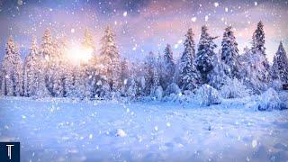 LIVE Winter's BEST Peaceful Classical Music for Study Focus! ️